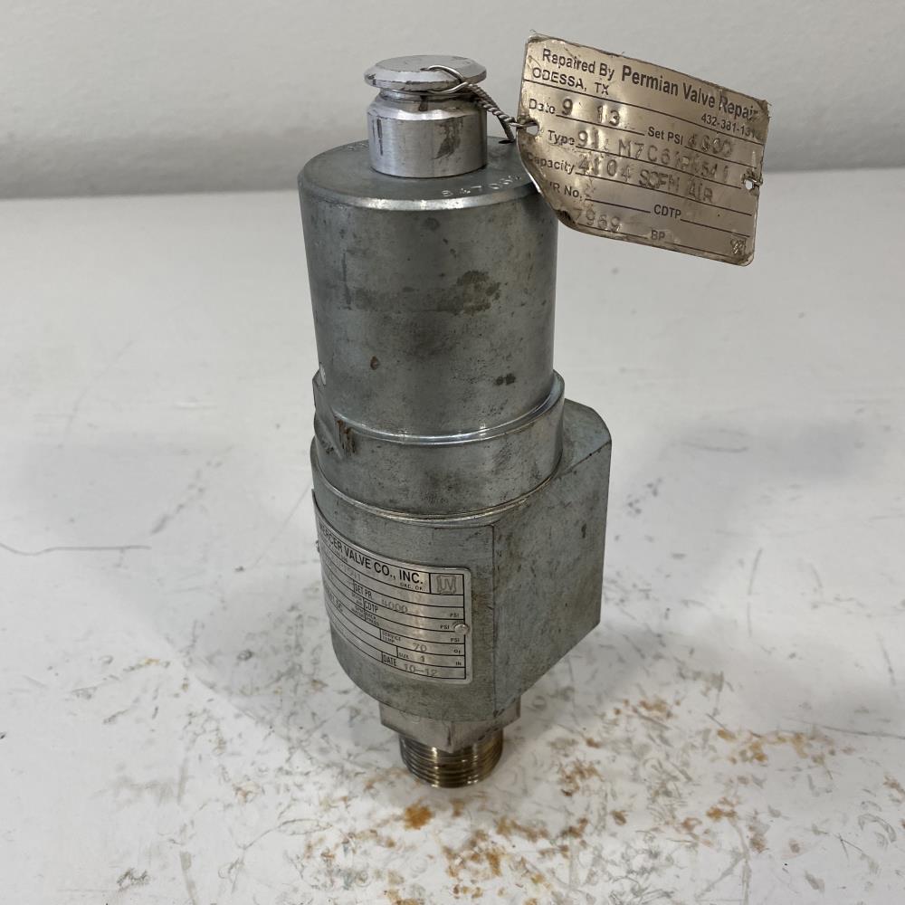 Mercer 1" MNPT X 1" FNPT Steel Relief Valve, 91-M7C61P1541