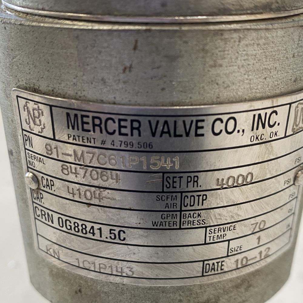 Mercer 1" MNPT X 1" FNPT Steel Relief Valve, 91-M7C61P1541