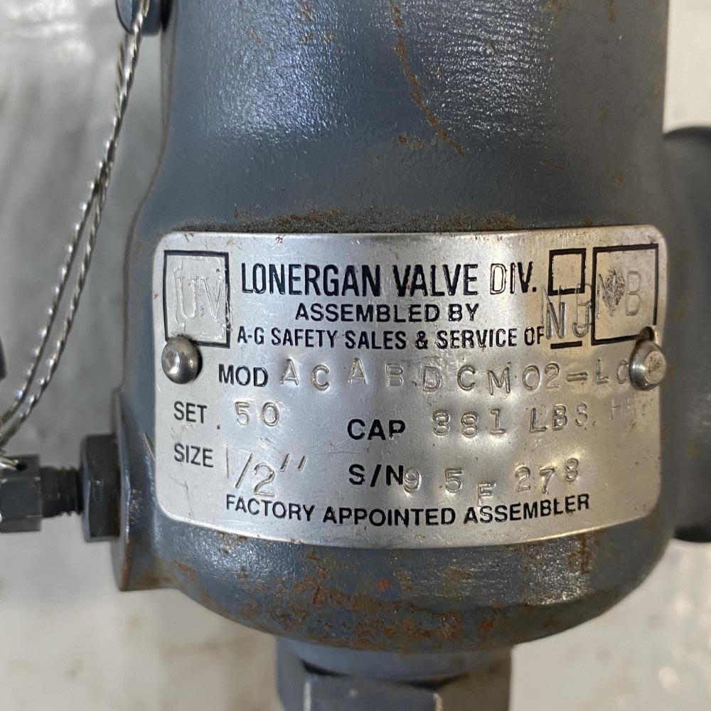 Lonergan 1/2" MNPT X 1" FNPT WCB Relief Valve, ACABDCM02-LC