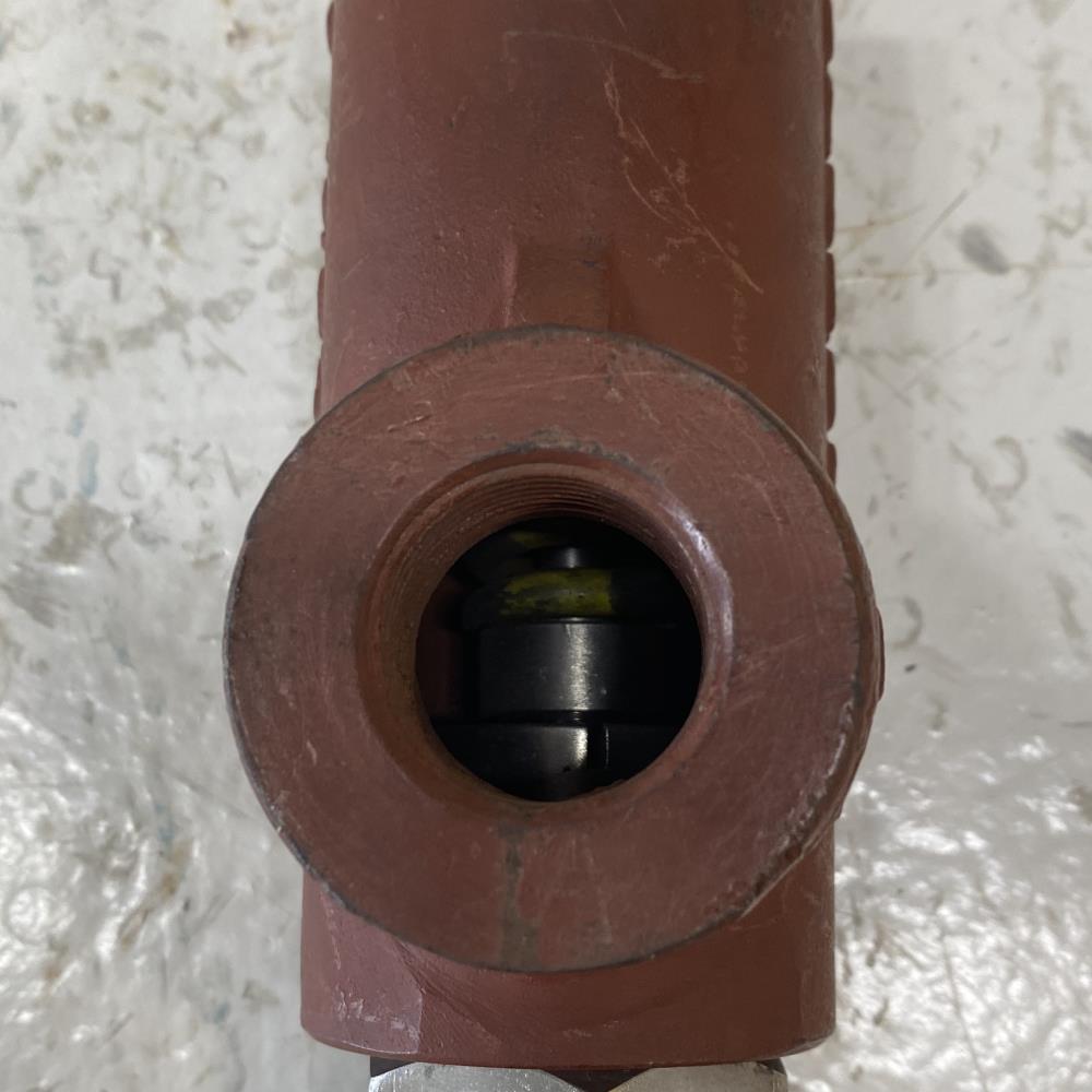 Hydro-Seal 1/2" MNPT x 3/4" FNPT WCB Relief Valve, 1BV00N/E0