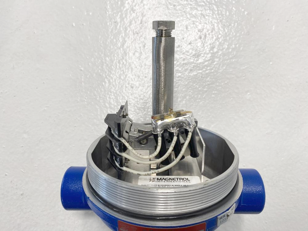 2" NPT Vane Actuated Mechanical Flow Switch F103D28AAB