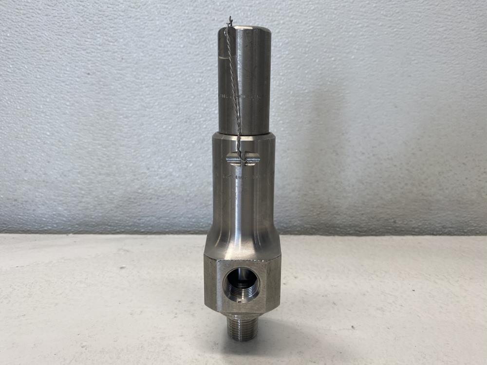 Leser 1/2" x 1/2" NPT 316 Stainless Steel Relief Valve 4384.2982