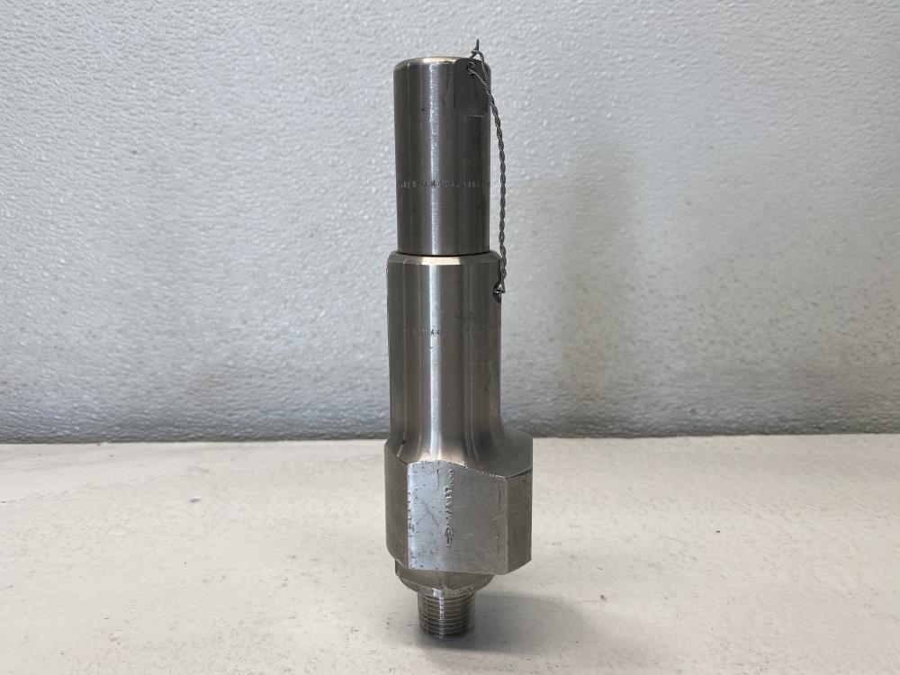 Leser 1/2" x 1/2" NPT 316 Stainless Steel Relief Valve 4384.2982