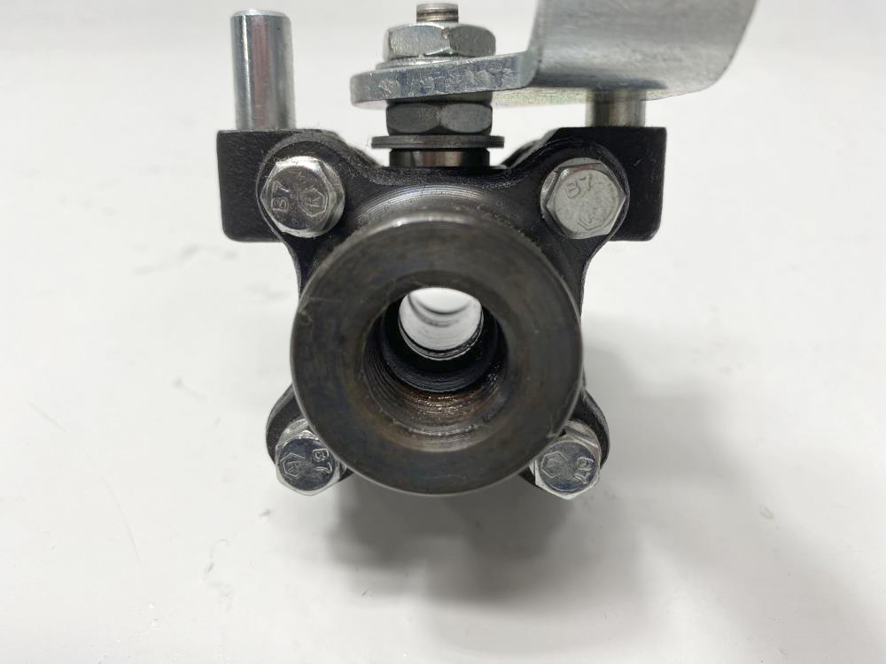 Flowserve Worcester 3/8" Threaded Carbon Steel Ball Valve 3/8 446YBSE R21