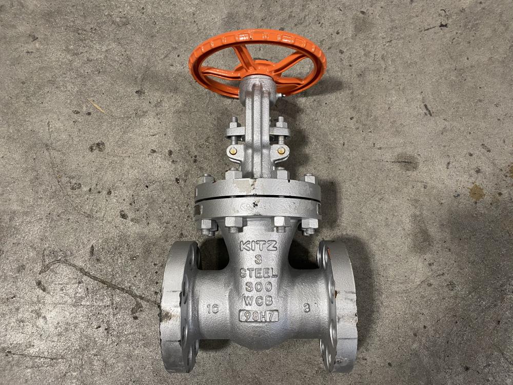 Kitz 3" 300# WCB RF Gate Valve 300 SCLS