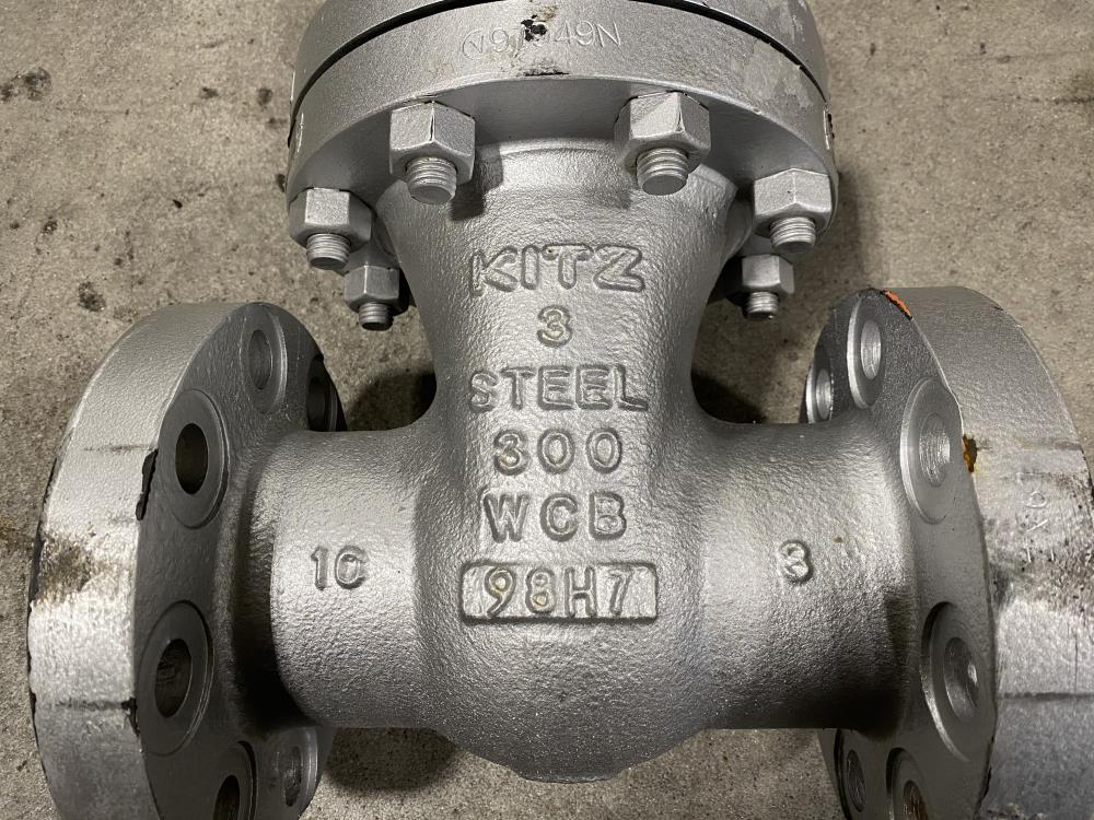 Kitz 3" 300# WCB RF Gate Valve 300 SCLS