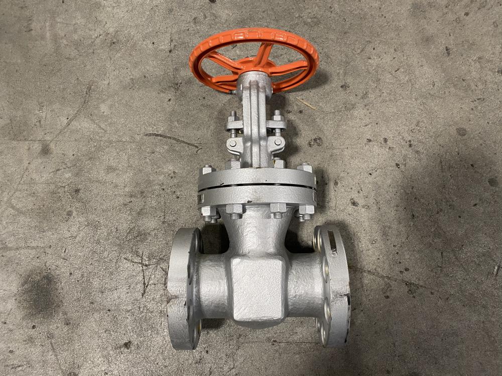 Kitz 3" 300# WCB RF Gate Valve 300 SCLS