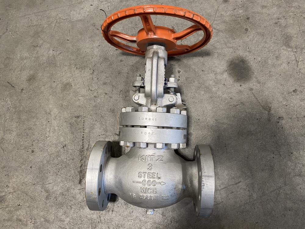 Kitz 3" 600# WCB RF Globe Valve, SCJS W/ 1/2" Tap