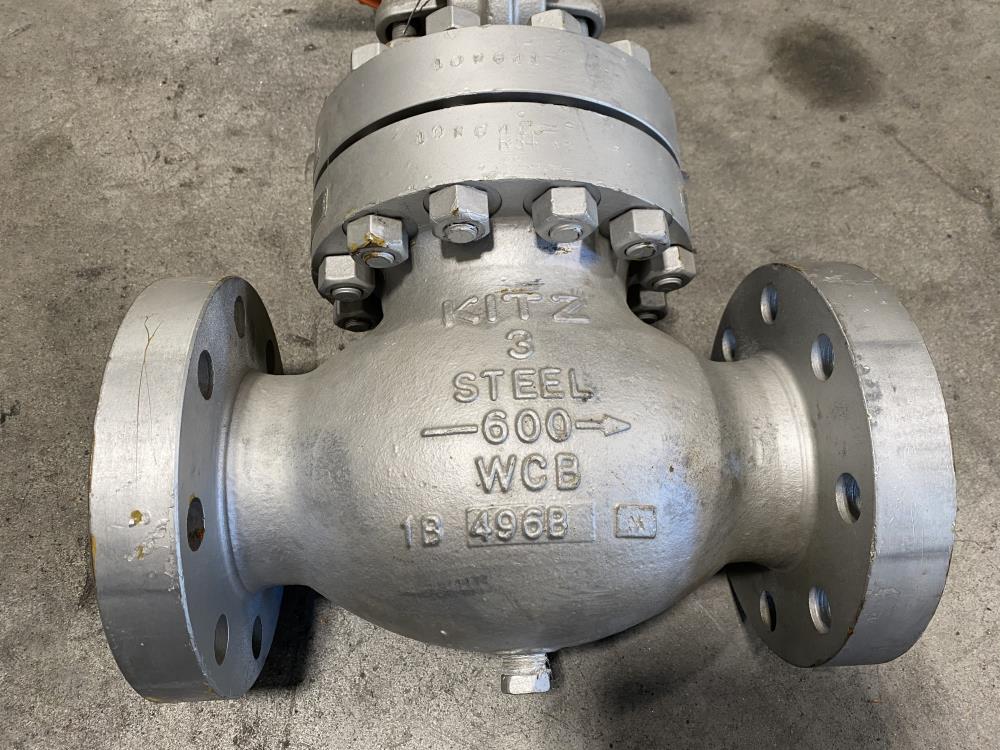 Kitz 3" 600# WCB RF Globe Valve, SCJS W/ 1/2" Tap