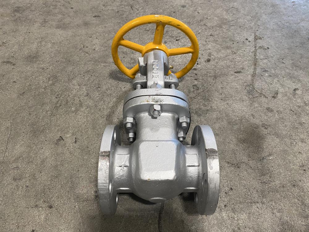 Warren 2" 150# WCB and 316 Stainless Steel RF Gate Valve 1155-12N F