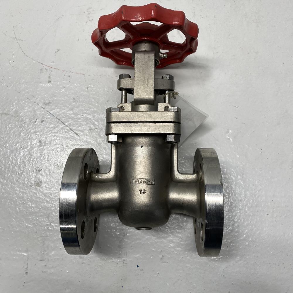 Aloyco 1" 300# CF8M RF Gate Valve 2117S