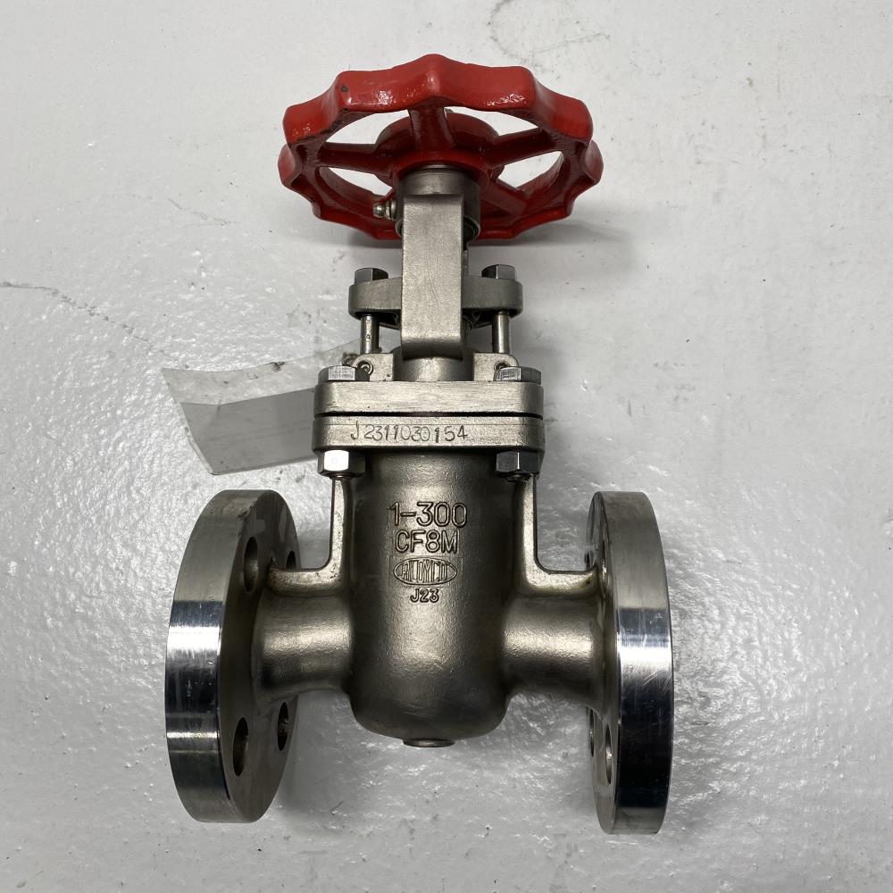 Aloyco 1" 300# CF8M RF Gate Valve 2117S