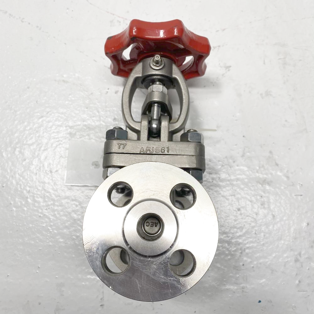 Aloyco 1/2" 150# CN7M RF Gate Valve 117S