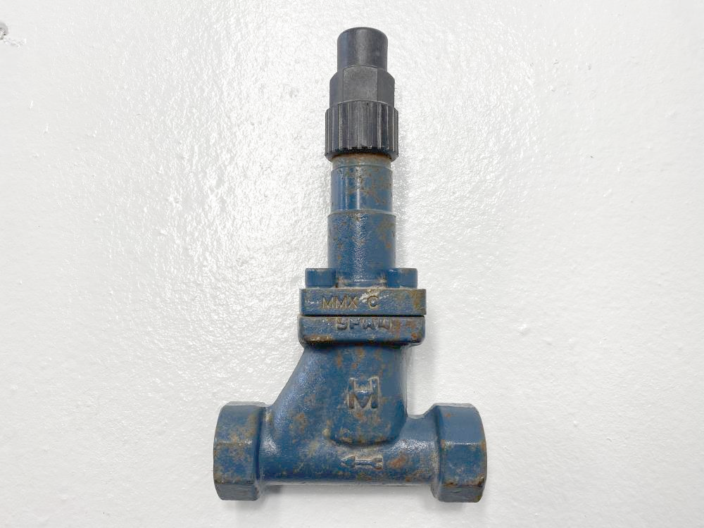 Hansen 1/2" Socketweld T-Style Shut Off Globe Valve GSB051C