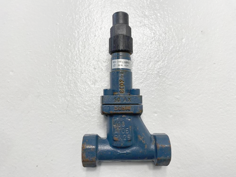 Hansen 1/2" Socketweld T-Style Shut Off Globe Valve GSB051C