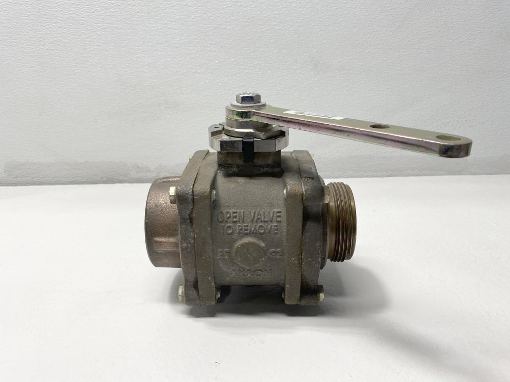 Akron 2.5" FNPT X 2.5" NST Brass Heavy Duty Swing Valve 88250119-T000566869