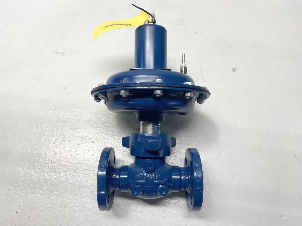 Norriseal 1" 300# Flanged WCC Control Valve, Series 2221, RF-07TGA-9AA