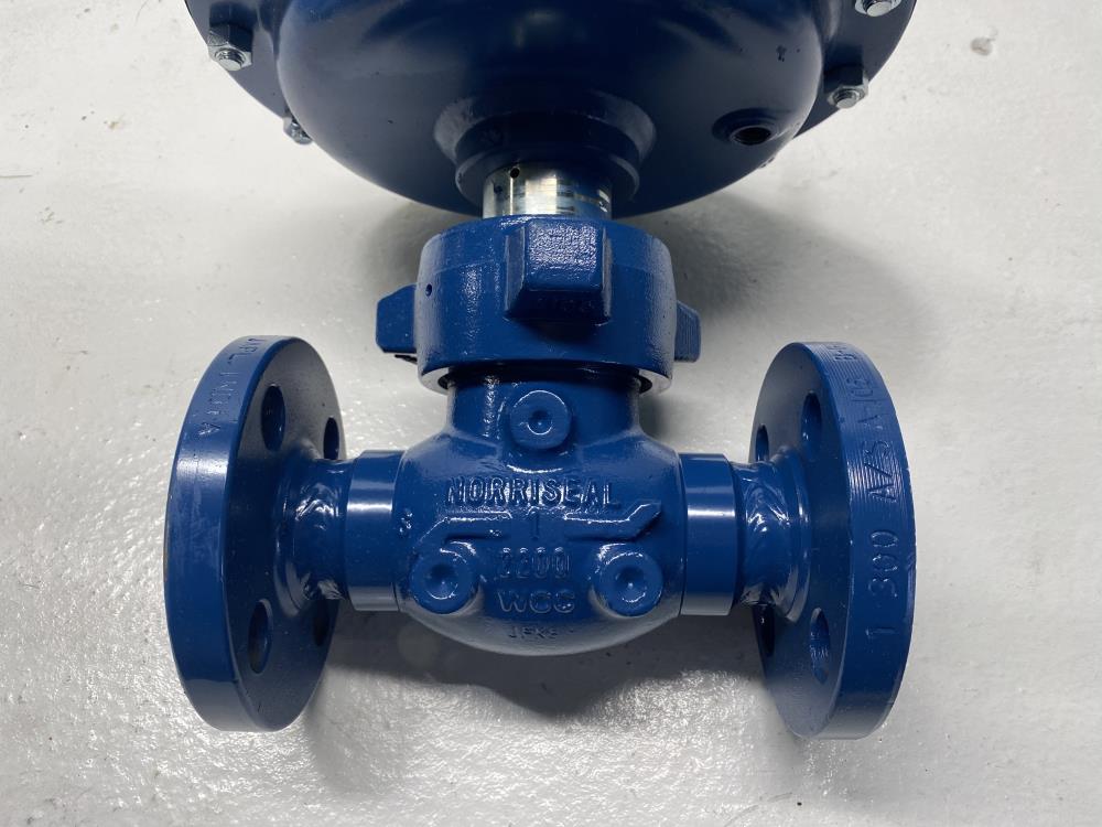 Norriseal 1" 300# Flanged WCC Control Valve, Series 2221, RF-07TGA-9AA