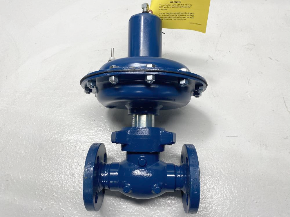 Norriseal 1" 300# Flanged WCC Control Valve, Series 2221, RF-07TGA-9AA