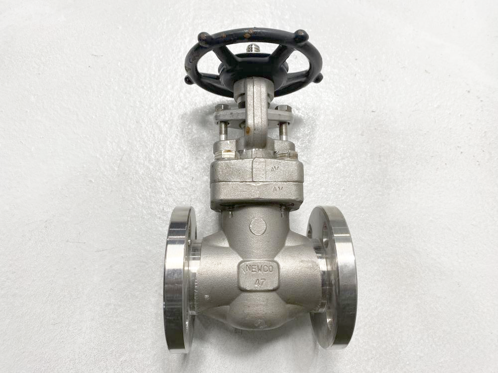 Newco 47 Douglas Chero 1" 150# RF 316SS Flanged Gate Valve F214/15