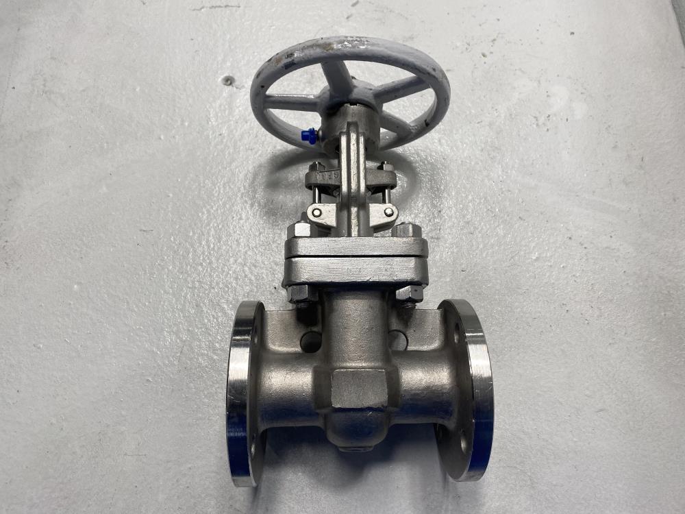 Neway 1-1/2" 150# RF CF8M Gate Valve 15G1RG10-TFE