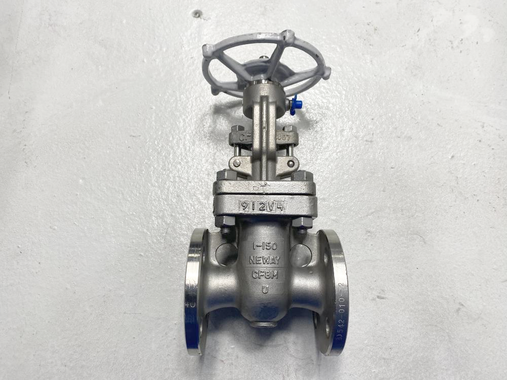 Neway 1" 150# RF CF8M Gate Valve 1G1RG10-TFE