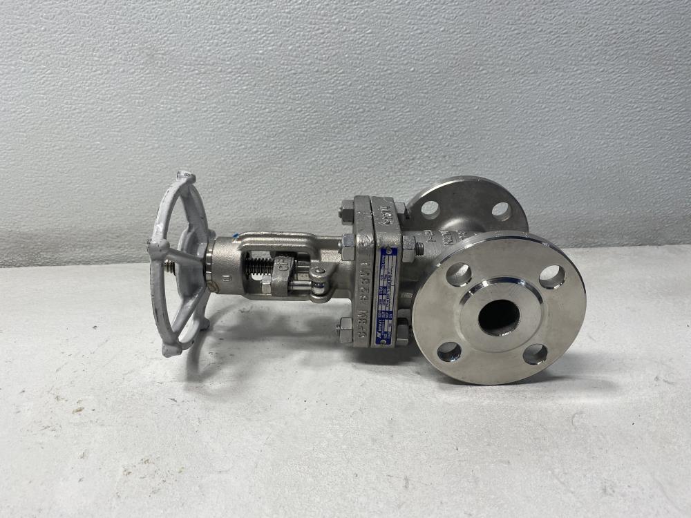 Neway 1" 150# RF CF8M Gate Valve 1G1RG10-TFE