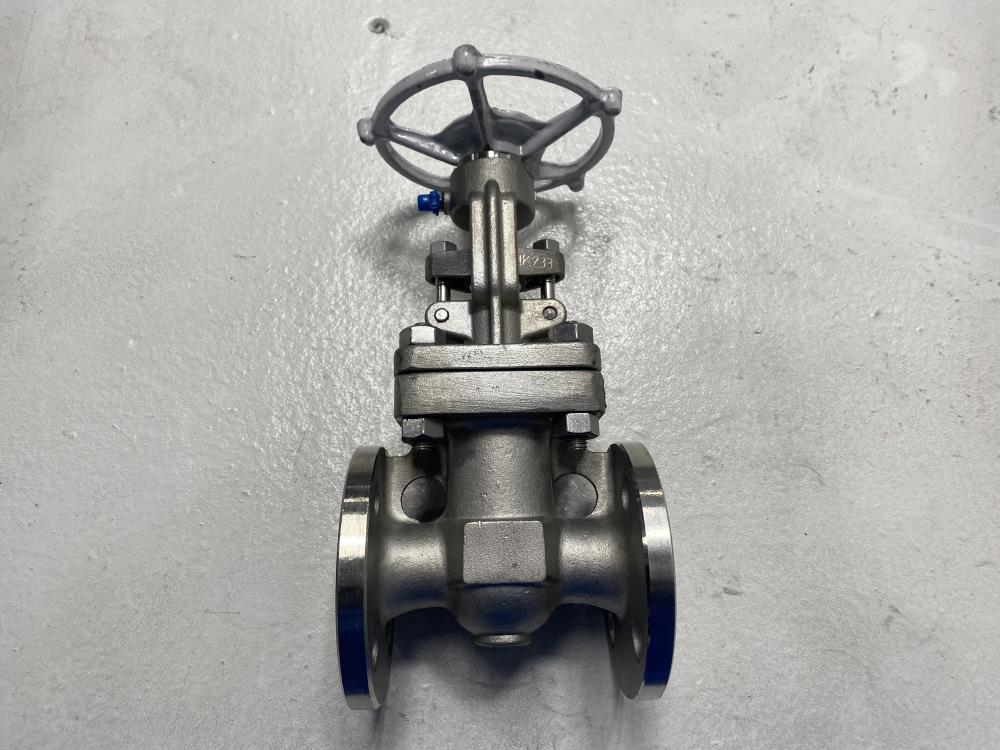 Neway 1" 150# RF CF8M Gate Valve 1G1RG10-TFE