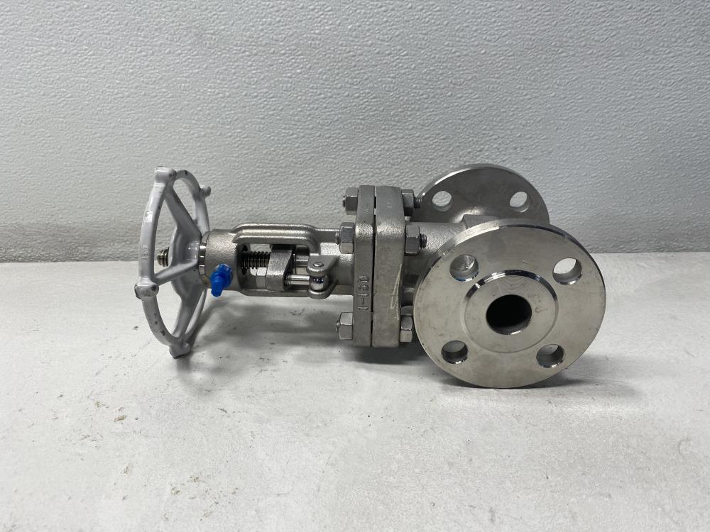 Neway 1" 150# RF CF8M Gate Valve 1G1RG10-TFE