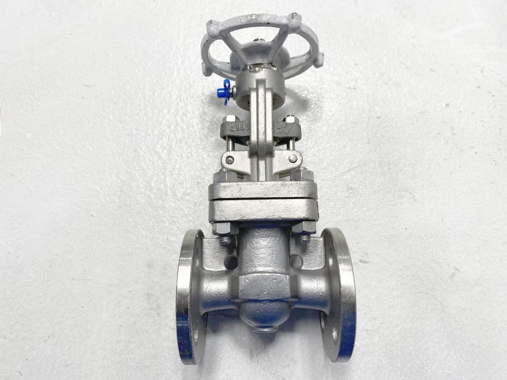 Neway 3/4" 150# RF CF8M Gate Valve 0.75G1RG10-TFE