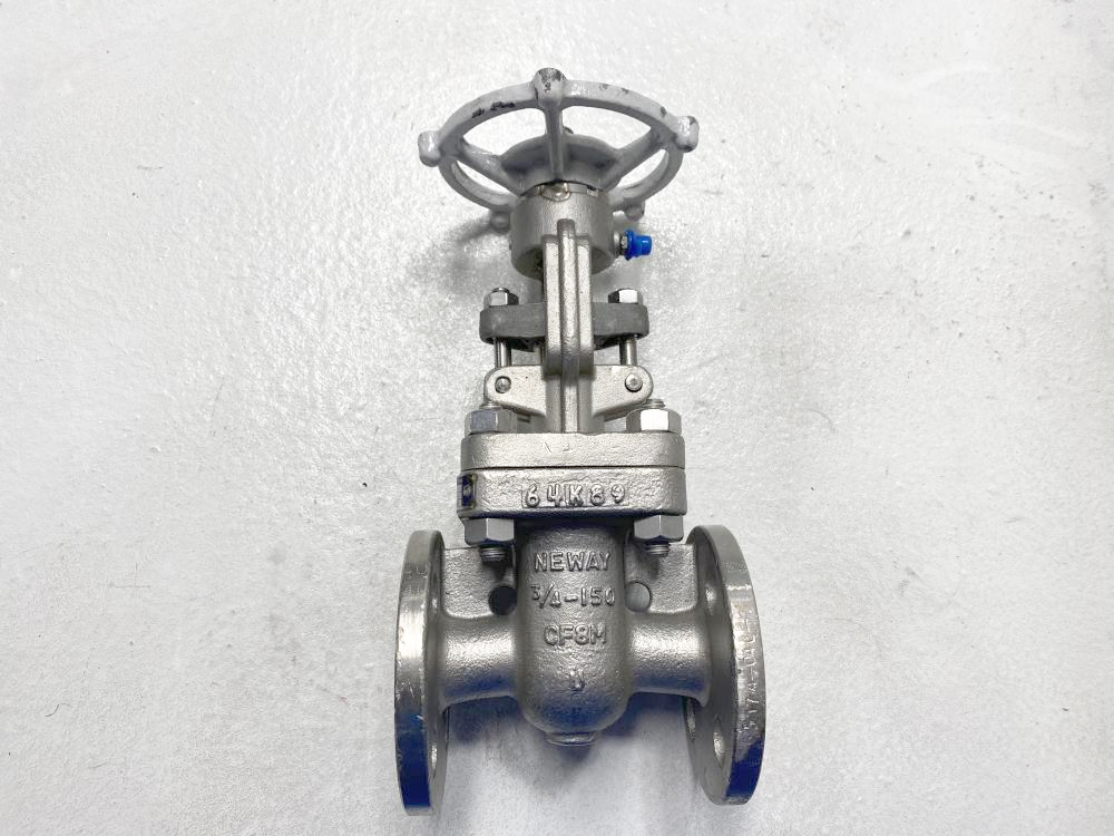 Neway 3/4" 150# RF CF8M Gate Valve 0.75G1RG10-TFE