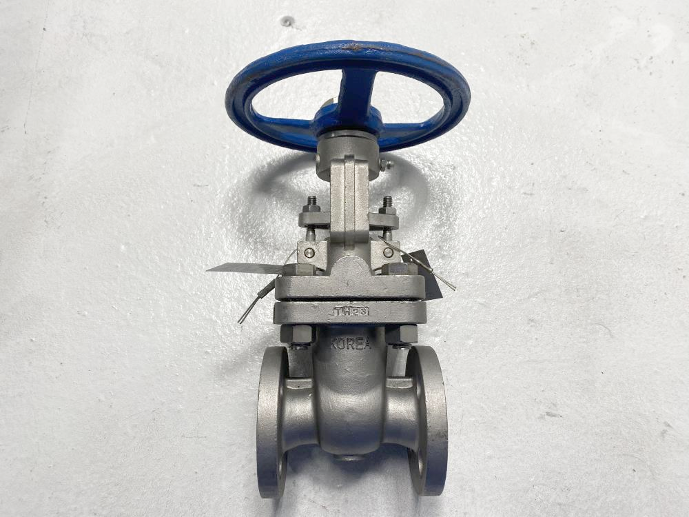 Lot of (2) TY 1/2" 150# RF CF8M Gate Valves 101RF0910