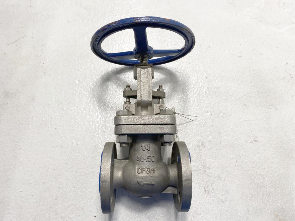 TY 3/4" 150# RF CF8M Gate Valve 102RF0910