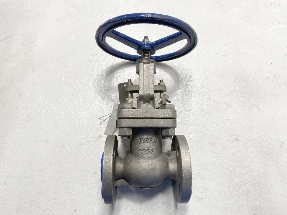 TY 3/4" 150# RF CF8M Gate Valve 102RF0910