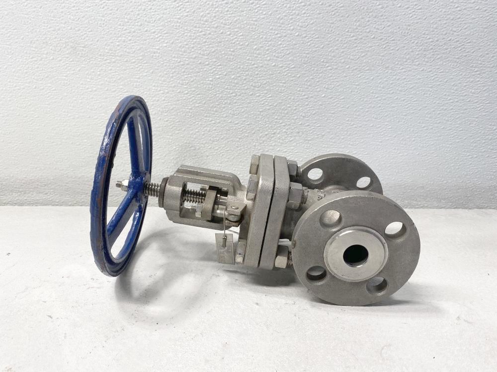 TY 3/4" 150# RF CF8M Gate Valve 102RF0910