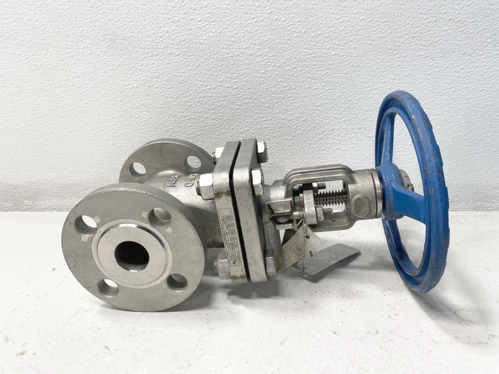 TY 1" 150# RF CF8M Gate Valve 101RF-CF8M-10