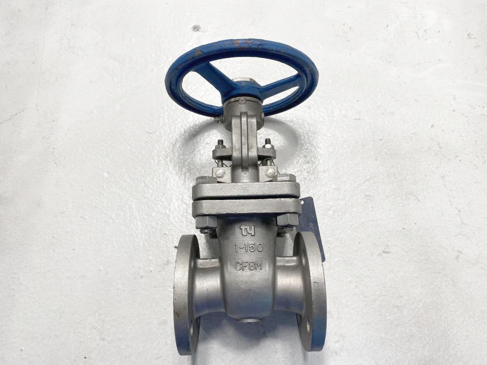 TY 1" 150# RF CF8M Gate Valve 101RF-CF8M-10