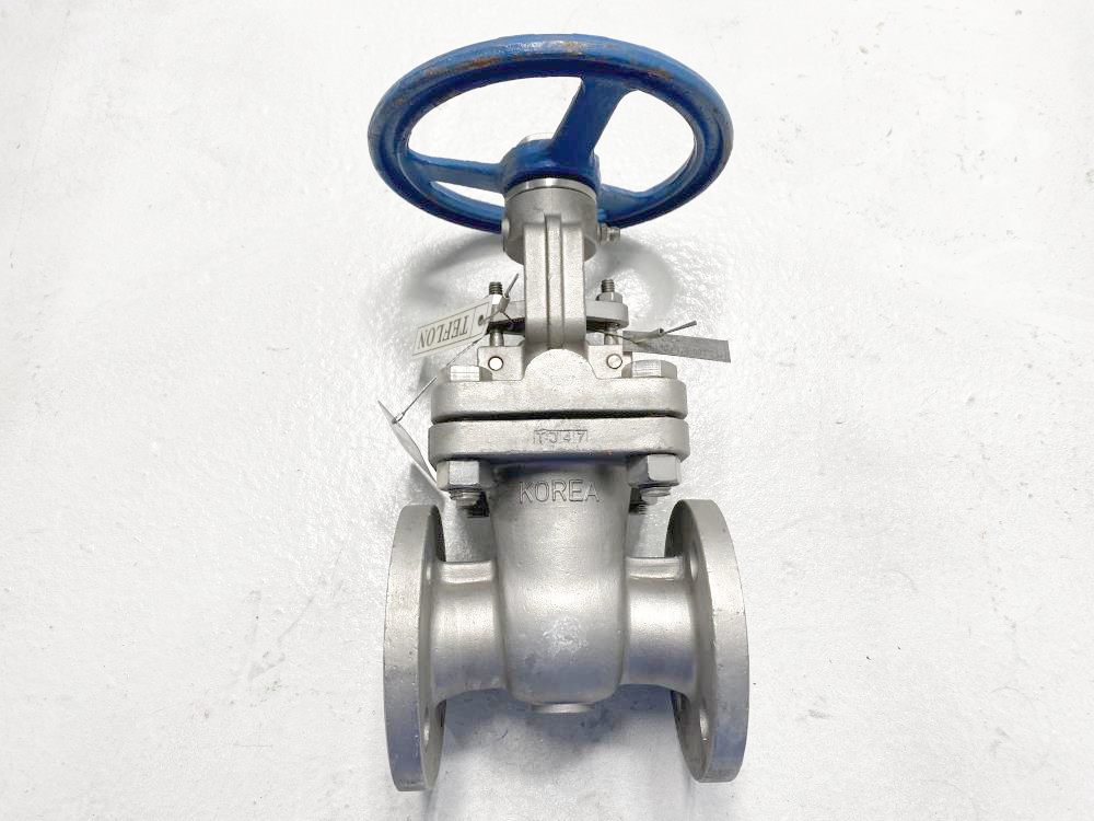 TY 1" 150# RF CF8M Gate Valve 101RF-CF8M-10