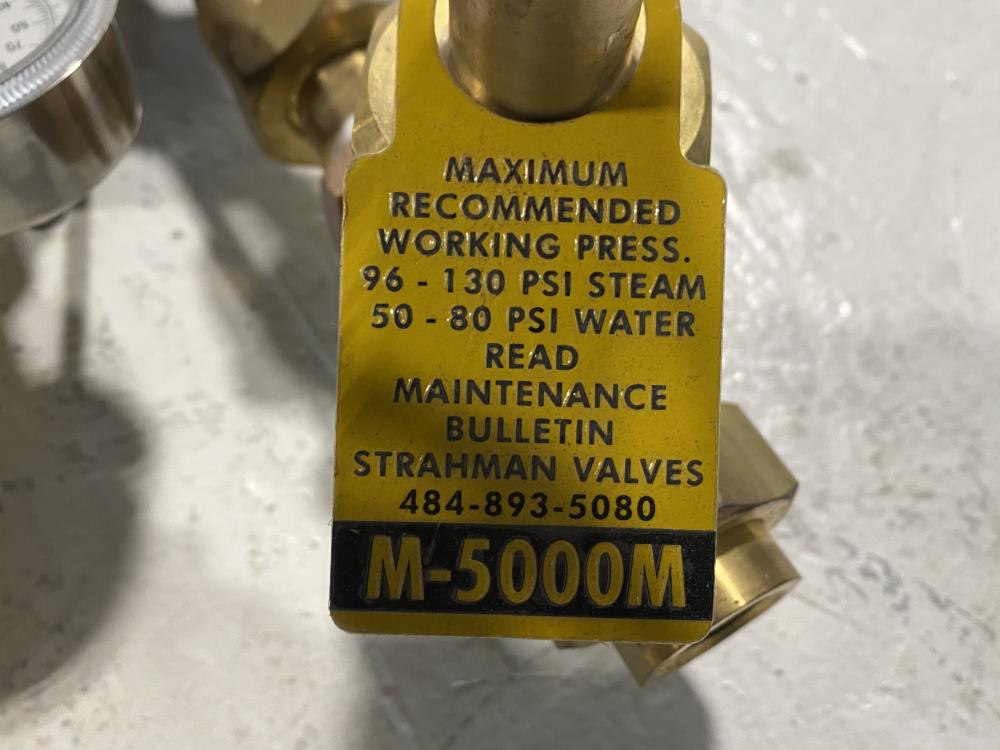 Strahman M-5000 Steam and Cold Water Mixing Station, 3/4" NPT, Bronze, 150 PSI