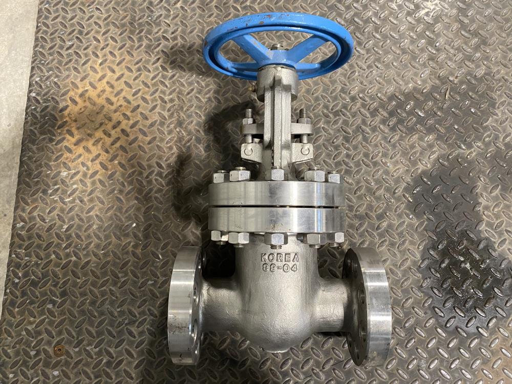 OIC 2" 600# RF CF8M Gate Valve, Fig S601