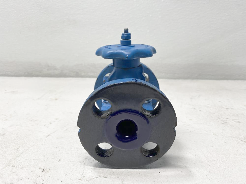 ITT Grinnell 1/2" Glass Lined Cast Iron Diaphragm Valve