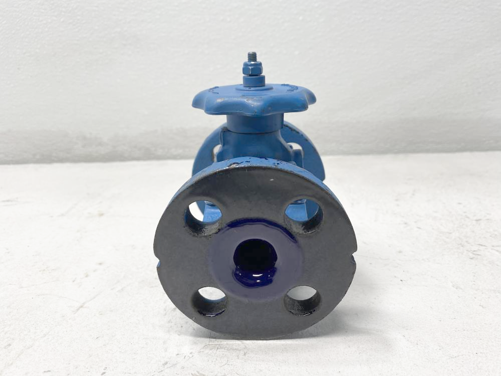 ITT Grinnell 1/2" Glass Lined Cast Iron Diaphragm Valve