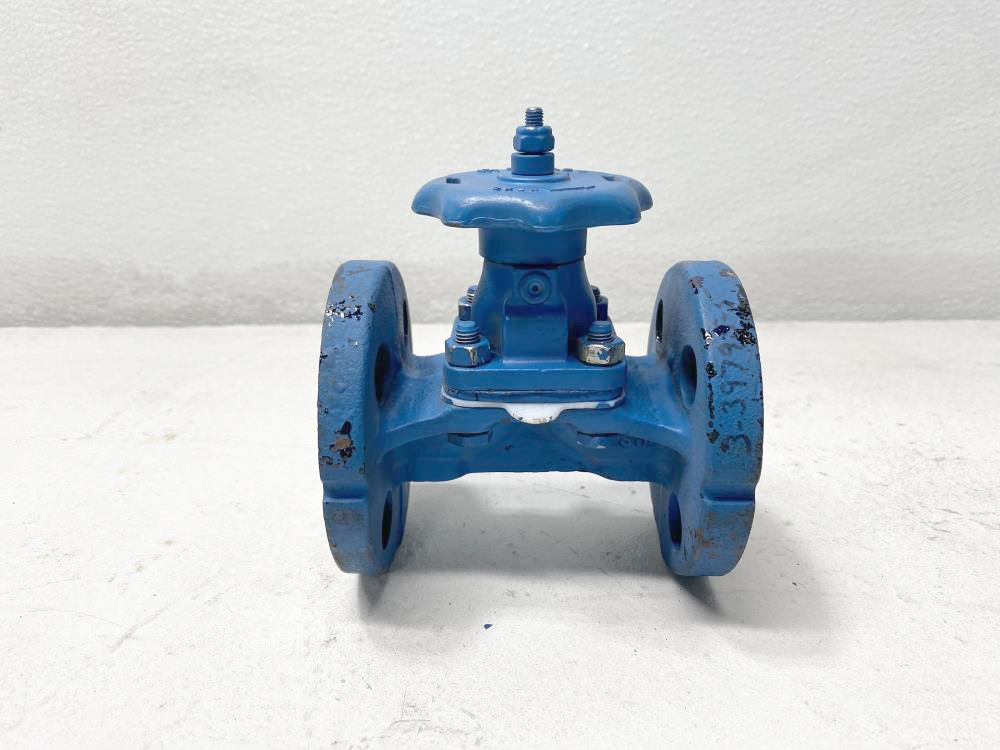 ITT Grinnell 1/2" Glass Lined Cast Iron Diaphragm Valve