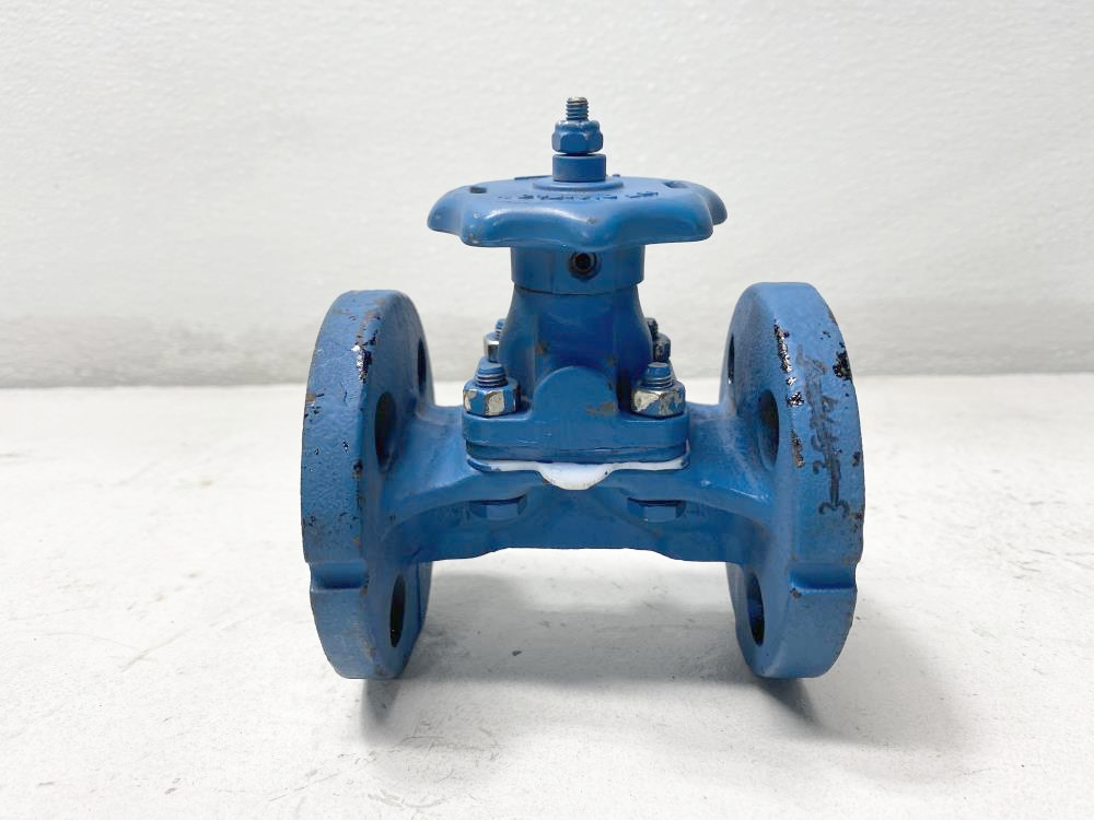 ITT Grinnell 1/2" Glass Lined Cast Iron Diaphragm Valve