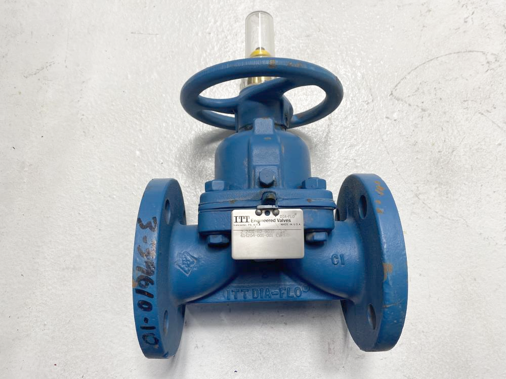 ITT Dia-Flo 2" Flat Face Cast Iron Diaphragm Valve, 275 CWP, 2-2431-R2-903S