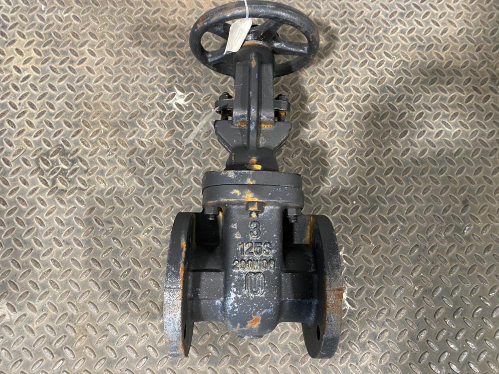 Milvaco 3" 125# FF IBBM Ductile Iron Gate Valve, 200 WOG, Fig. 2885M