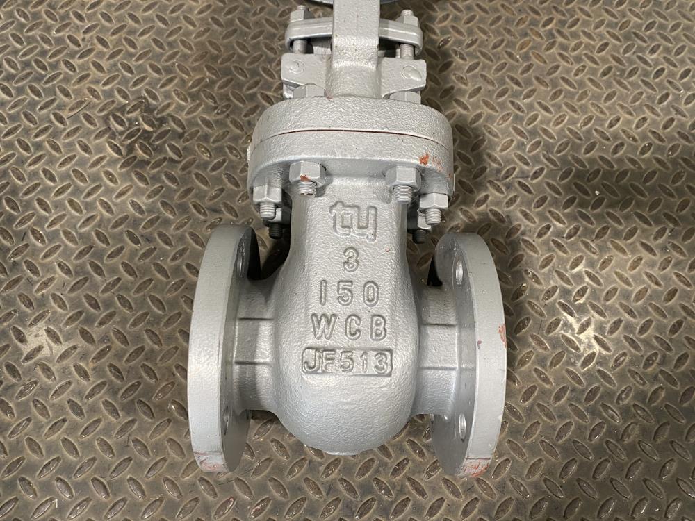 TY 3" 150# RF WCB Gate Valve 151RF008