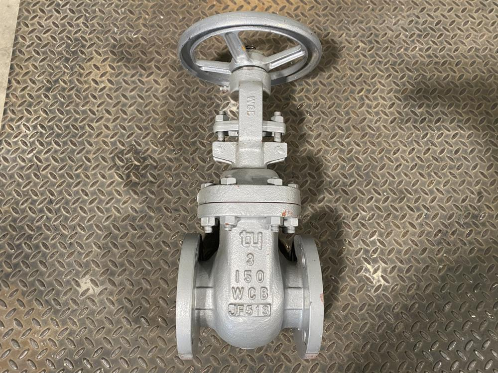 TY 3" 150# RF WCB Gate Valve 151RF008