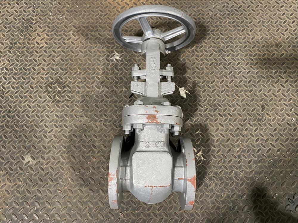 TY 3" 150# RF WCB Gate Valve 151RF008