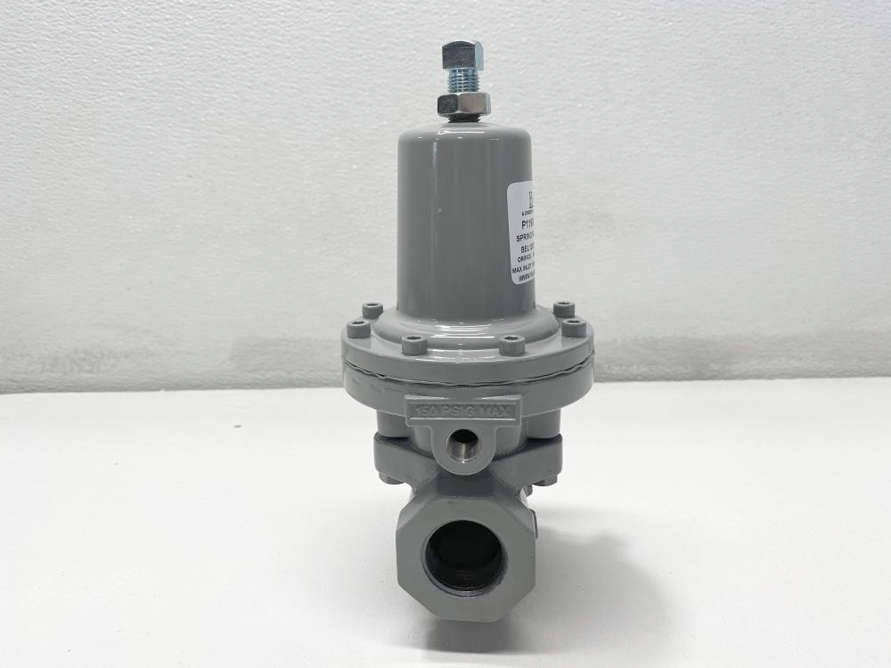 Belgas P119 Pressure Regulator, 2" NPT, 150 PSI, P11908035009220